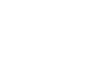 2030 Vision